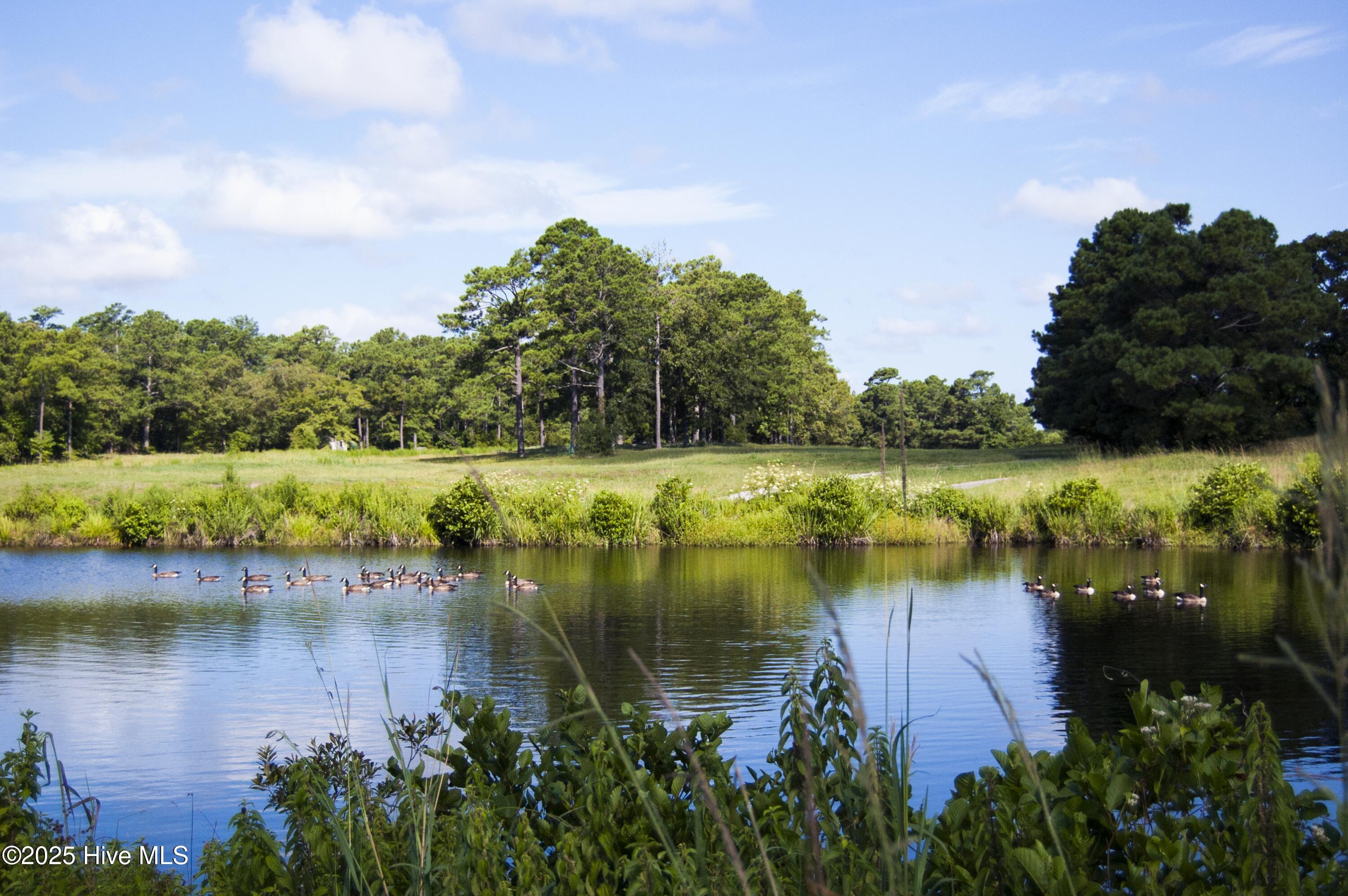 525 Sailor Sky Way, Unit 390 Hampstead, NC 28443 - Photo 52 of 52 Pocket Parks