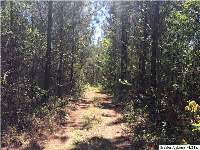 3970 Tanner Road, Unit 10 ACRES Dora, AL 35062 - Photo 6 of 7