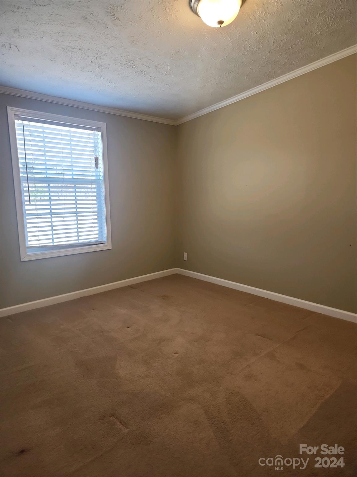 841 Airport Road Pageland, SC 29728 - Photo 12 of 16 Gallery Image 12