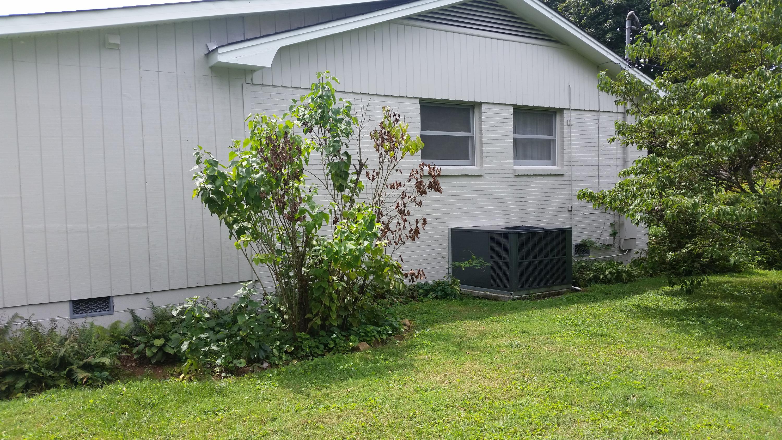 5508 Inwood Road Northwest Knoxville, TN 37921 - Photo 23 of 24 20170814_135045