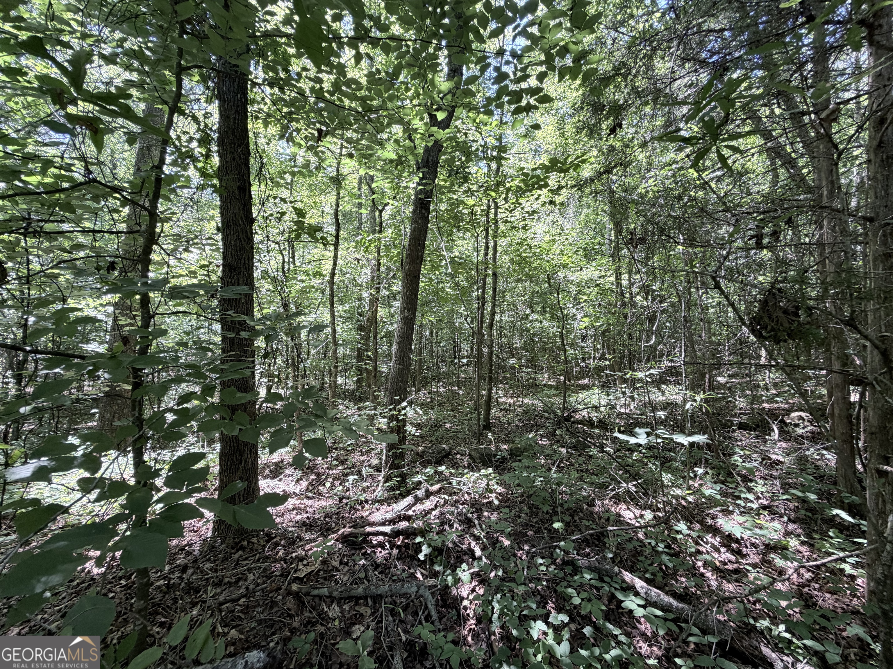 256 West Kellogg Drive Colbert, GA 30628 - Photo 9 of 11