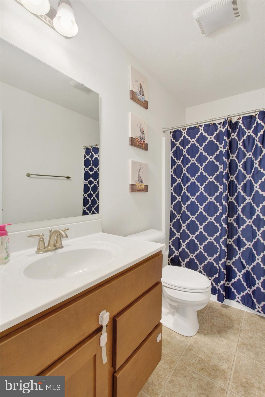 1224 Bair Road Hanover, PA 17331 - Photo 21 of 30 Charming bathroom with modern accents.