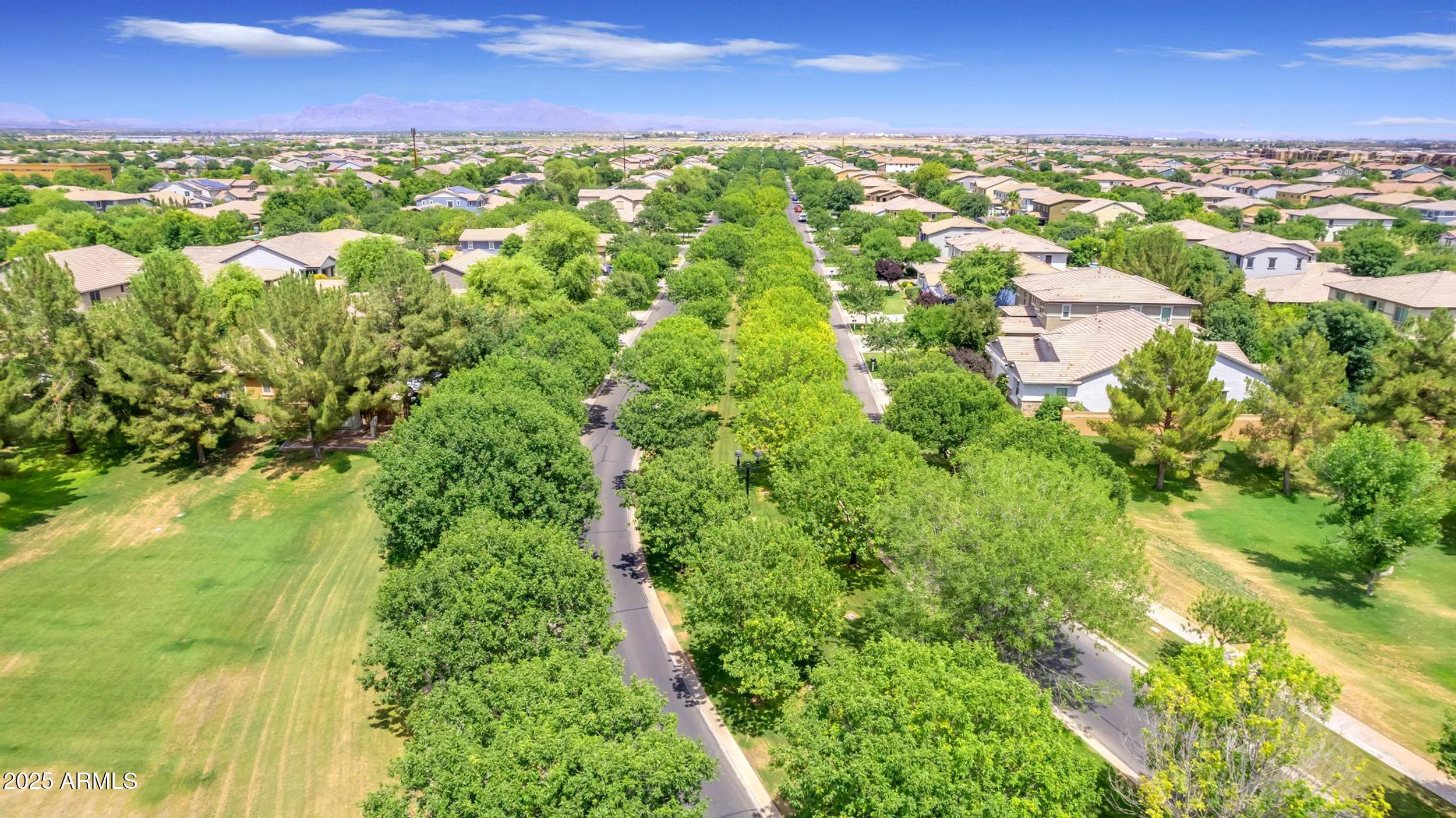 3859 East Appaloosa Road Gilbert, AZ 85296 - Photo 72 of 96 87_dji_0434
