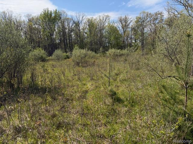 Parcel A & B Parcel A & B Kelch Road Mayville, MI 48744 - Photo 2 of 6