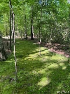 6300 Round Rock Road Chesterfield, VA 23838 - Photo 40 of 48 Gallery Image 40