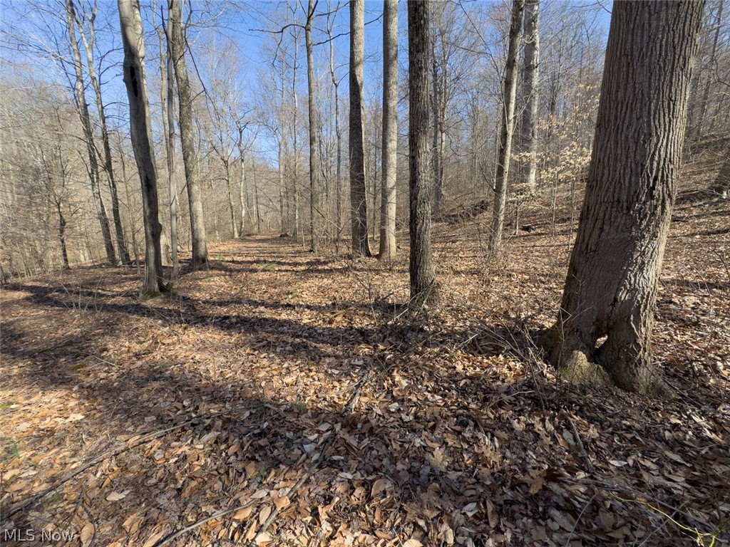 0 Clem Garvin Road Caldwell, OH 43724 - Photo 29 of 50 View of nature