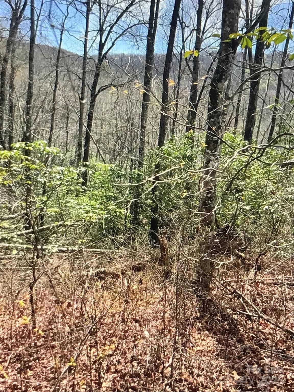 27 Sweetwater Rdg Road Balsam Grove, NC 28708 - Photo 4 of 18 a view of outdoor space