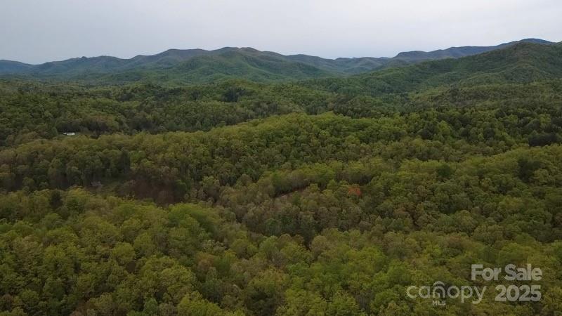 27 Sweetwater Rdg Road Balsam Grove, NC 28708 - Photo 5 of 18 a view of a lush green forest with mountains in the background