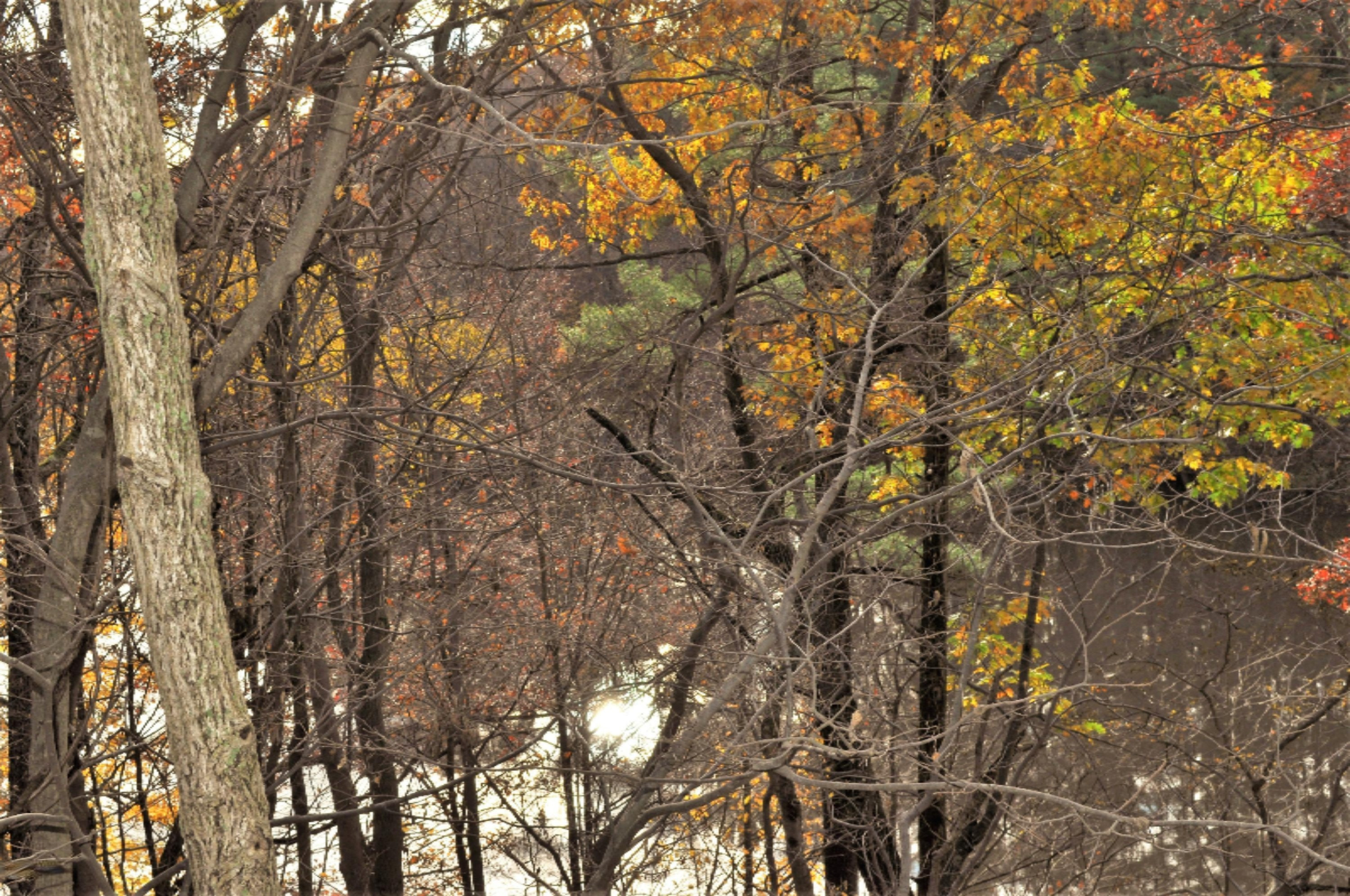 112 Bridge Road Allegan, MI 49010 - Photo 8 of 17 DSC_0428