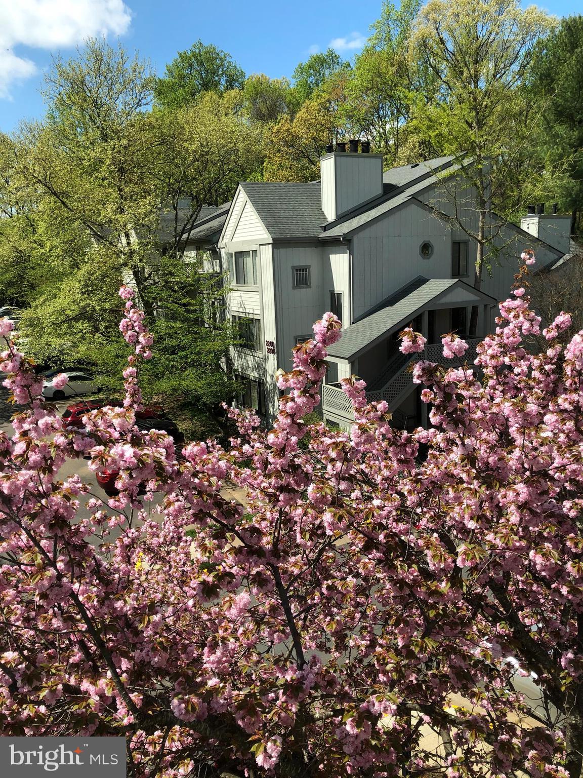 2229 Hunter's Run Drive Reston, VA 20191 - Photo 3 of 52 Gallery Image 3