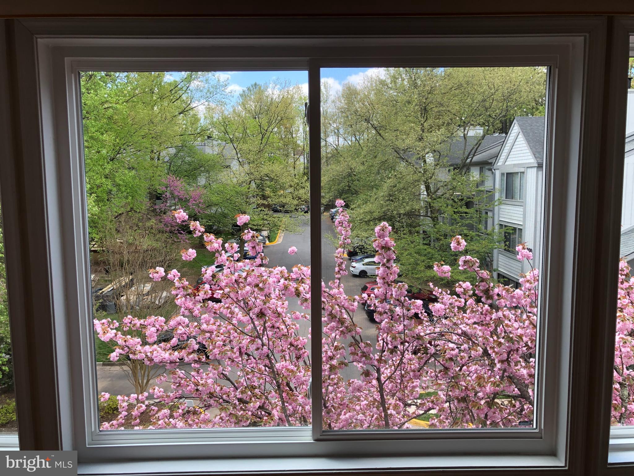 2229 Hunter's Run Drive Reston, VA 20191 - Photo 4 of 52 Gallery Image 4