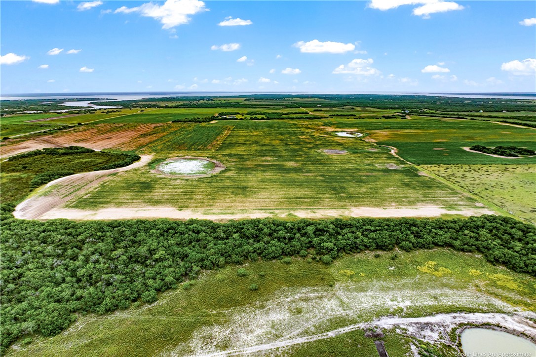 Lot 9 East County Road 2300 Riviera, TX 78379 - Photo 6 of 6 View of lots 9 & 10 from west side of lot 10 facin