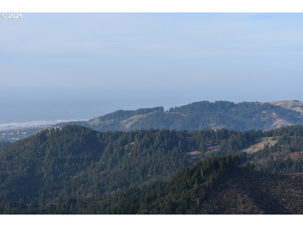 0 Grizzly Mountain Road, Unit 2 Gold Beach, OR 97444 - Photo 3 of 17 Gallery Image 3