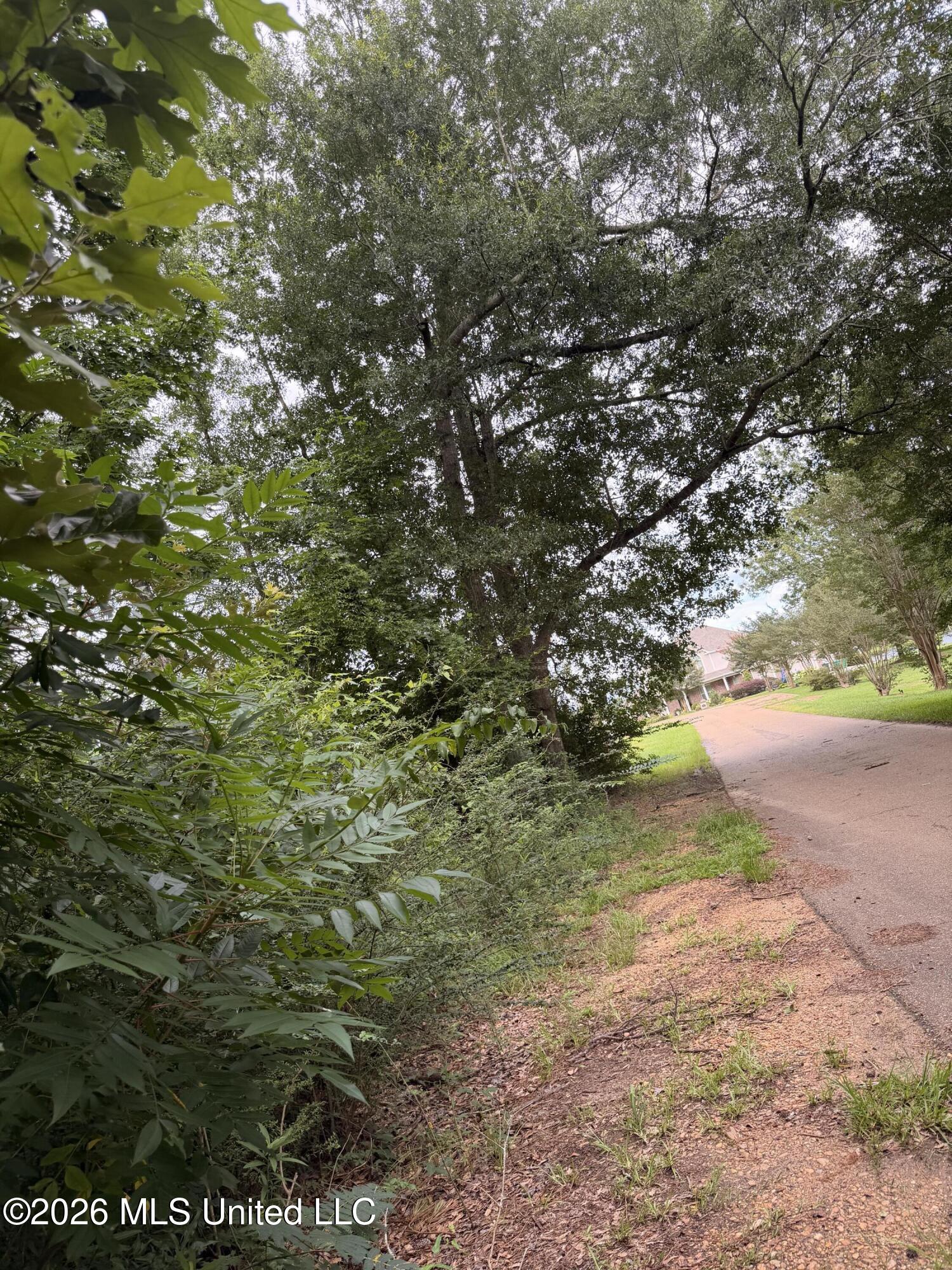 Cedar Ridge McComb, MS 39648 - Photo 6 of 12 IMG_4538