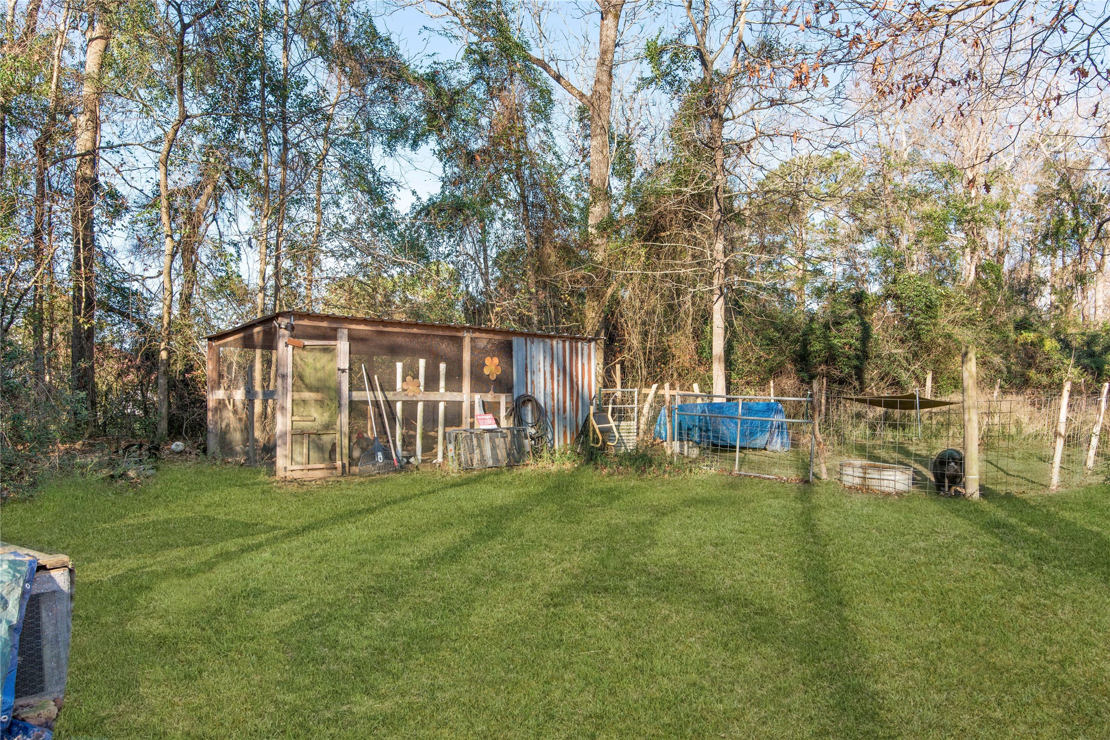 4600 Duff Road Livingston, TX 77351 - Photo 24 of 34