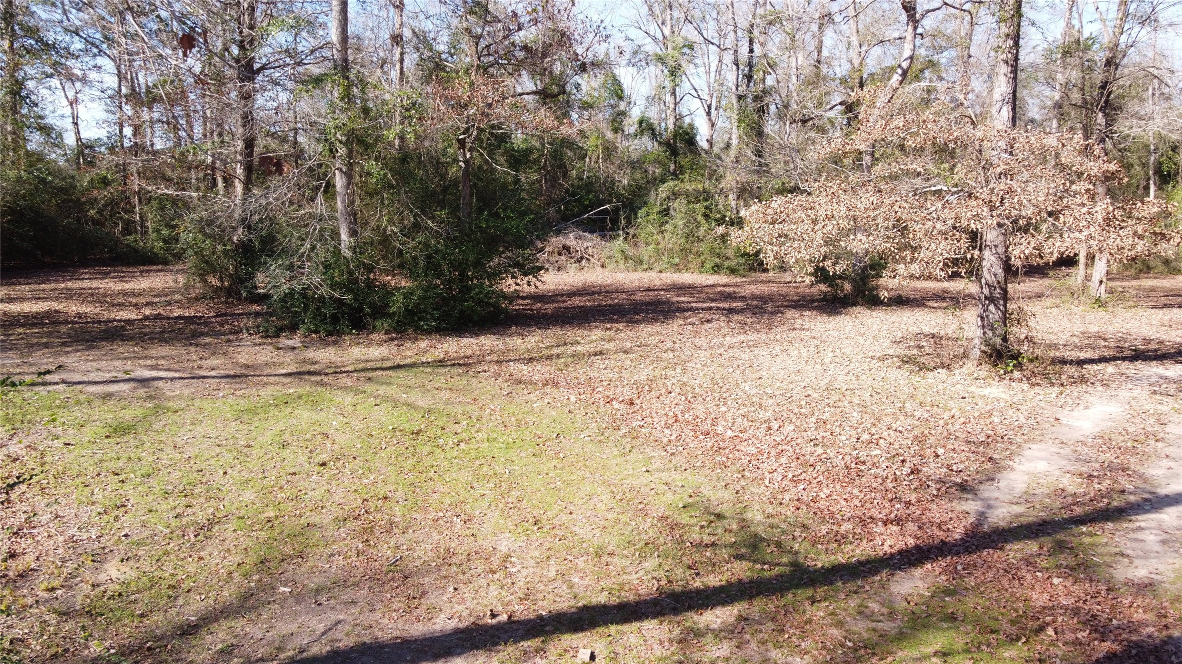 4600 Duff Road Livingston, TX 77351 - Photo 30 of 34 trails