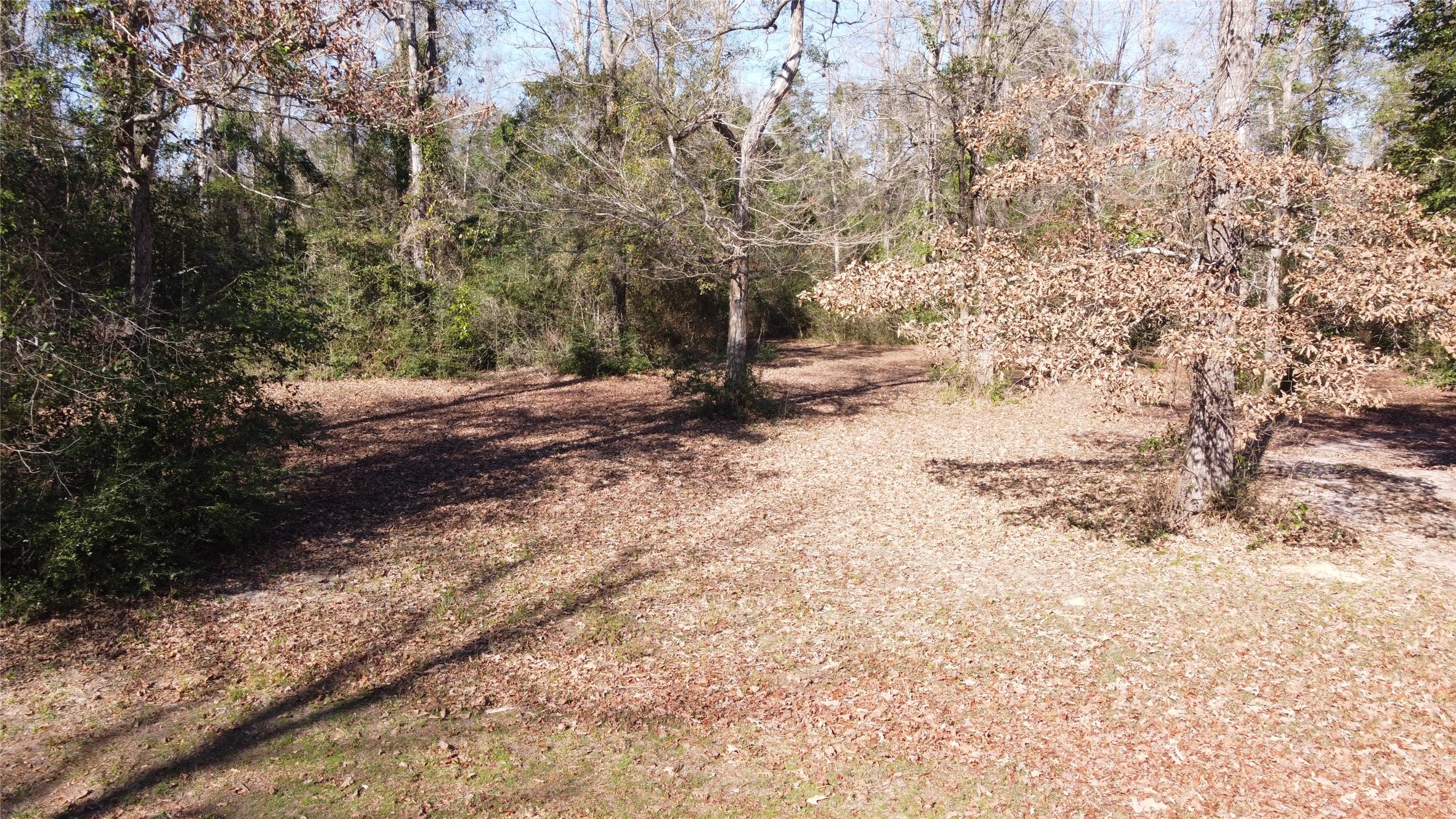 4600 Duff Road Livingston, TX 77351 - Photo 31 of 34 Trails