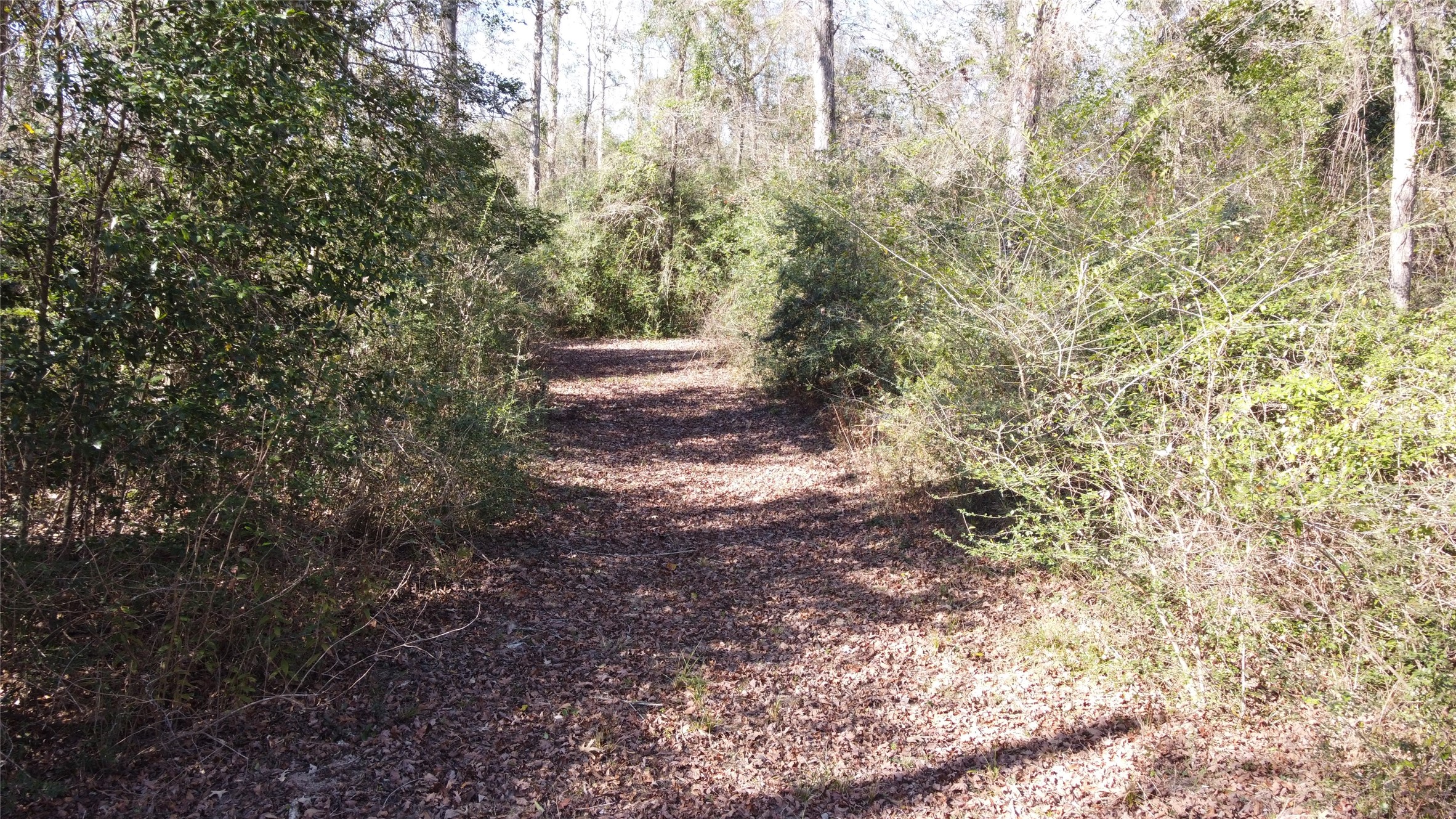 4600 Duff Road Livingston, TX 77351 - Photo 32 of 34 Trails
