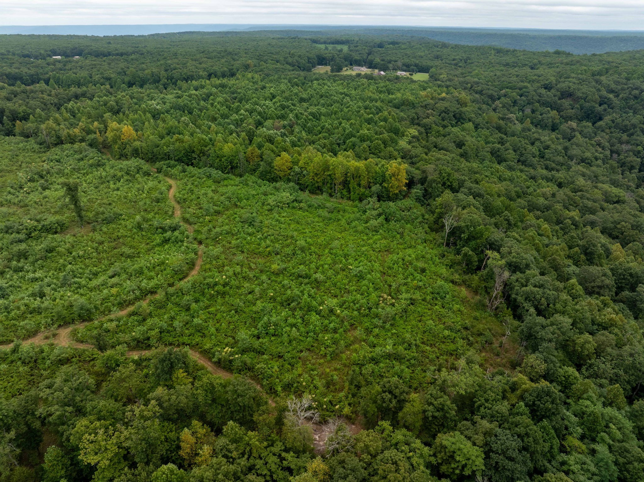 0 Keith Springs Mountain Road Belvidere, TN 37306 - Photo 11 of 14 Gallery Image 11
