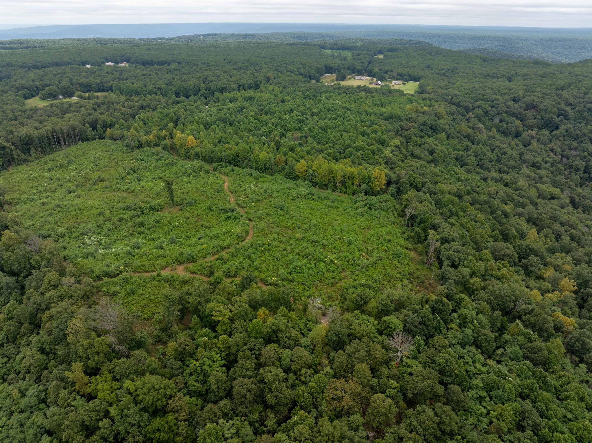 0 Keith Springs Mountain Road Belvidere, TN 37306 - Photo 12 of 14 Gallery Image 12