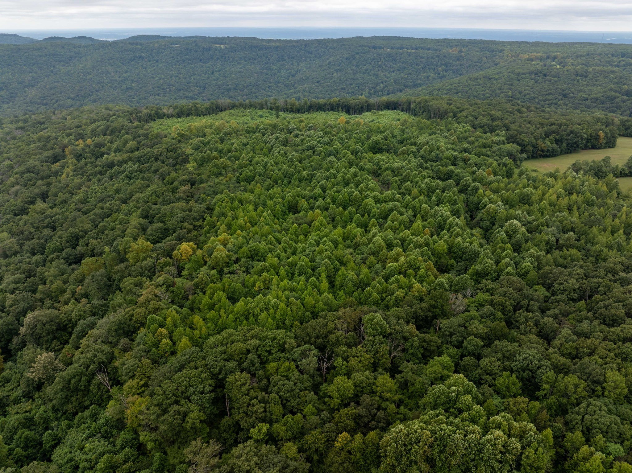 0 Keith Springs Mountain Road Belvidere, TN 37306 - Photo 14 of 14 Gallery Image 14