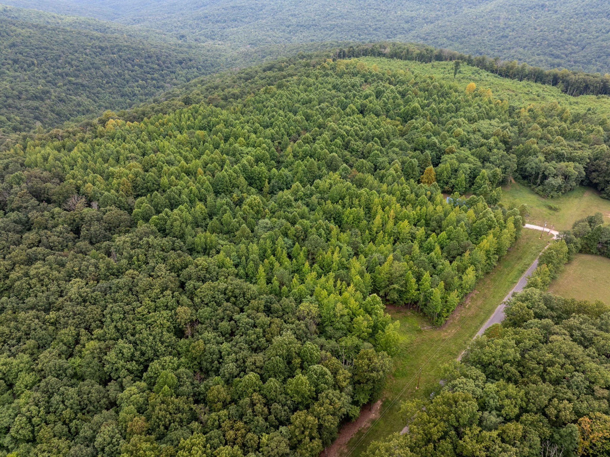 0 Keith Springs Mountain Road Belvidere, TN 37306 - Photo 3 of 14 Gallery Image 3