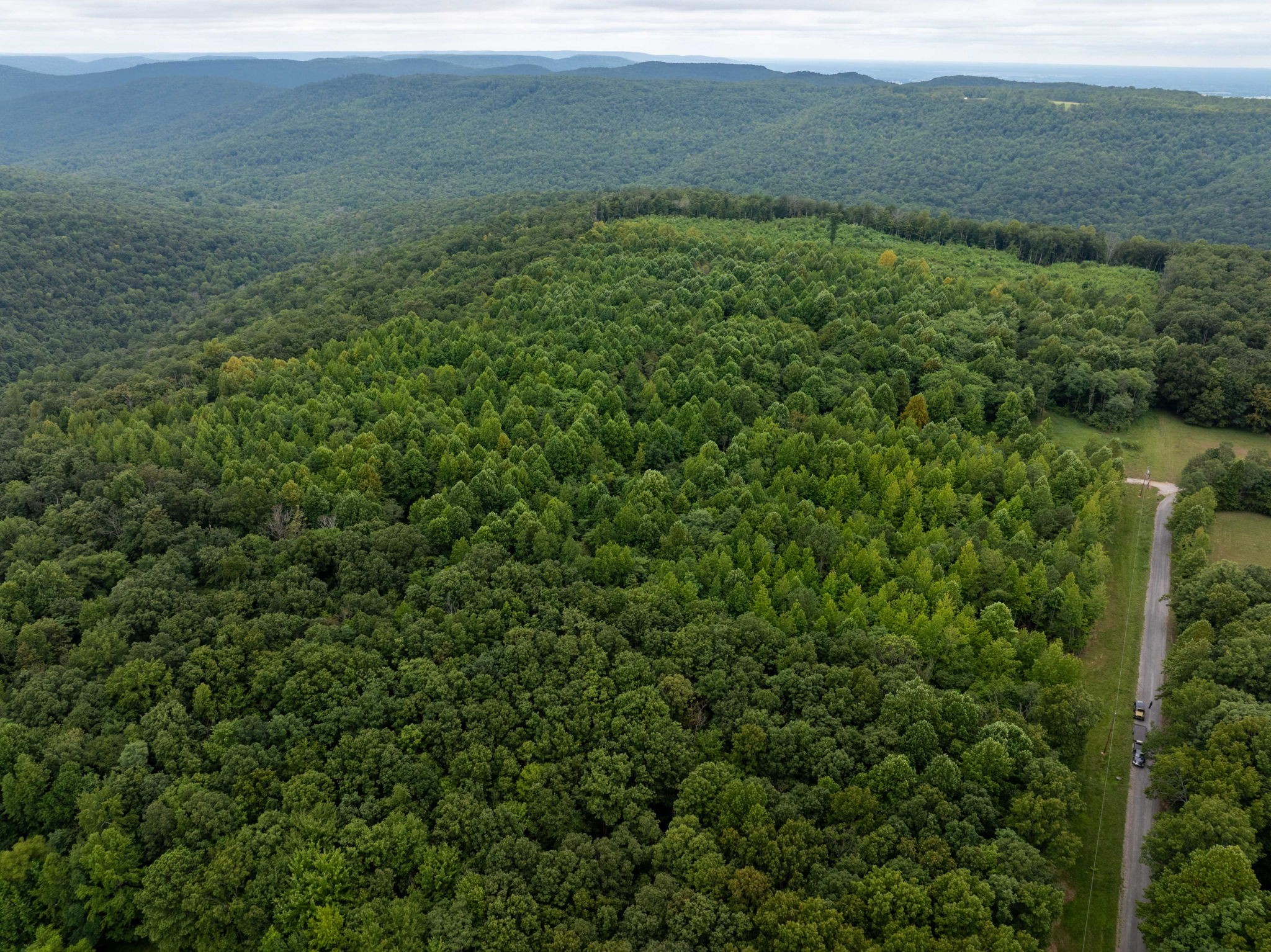 0 Keith Springs Mountain Road Belvidere, TN 37306 - Photo 5 of 14 Gallery Image 5