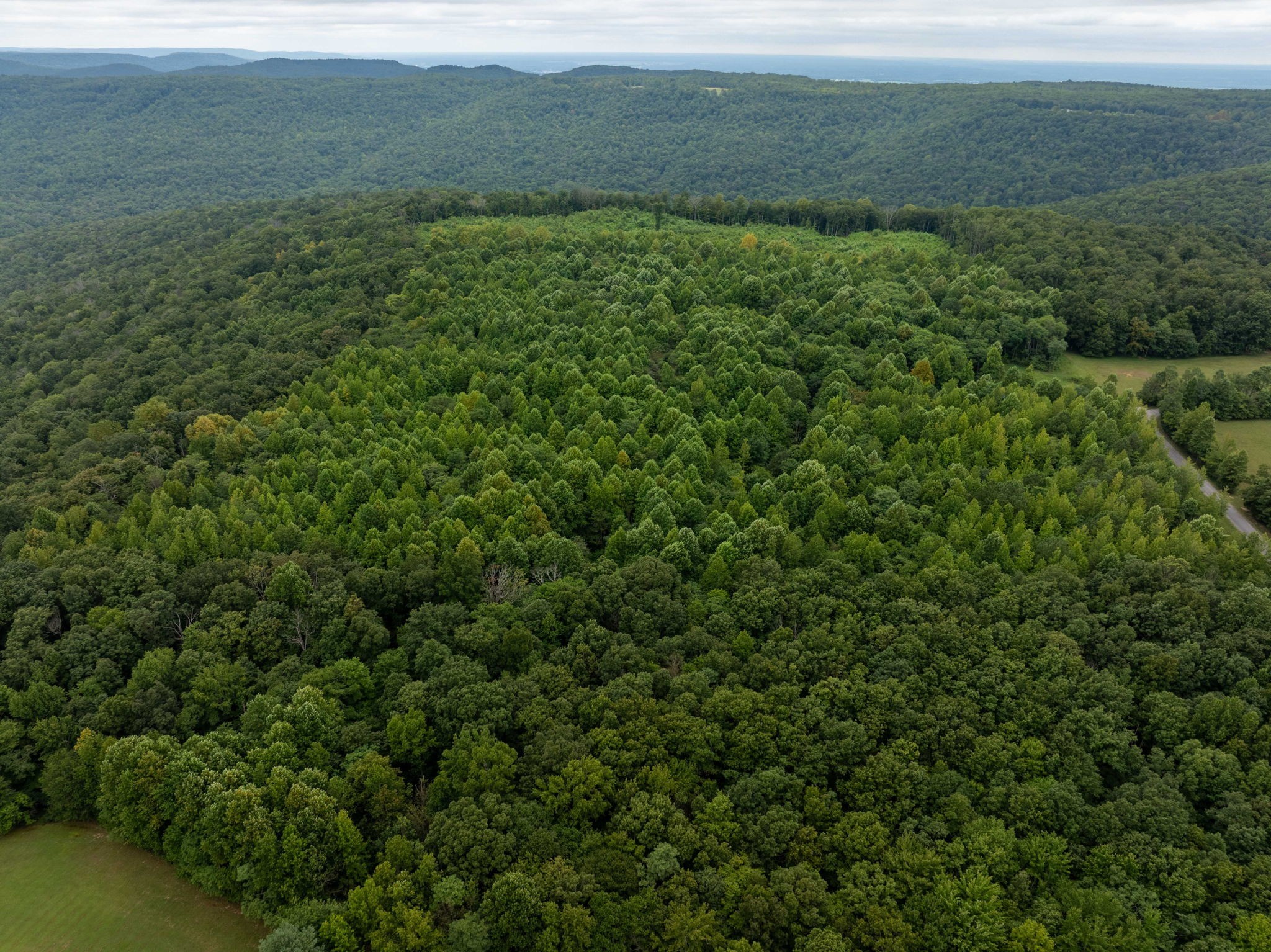 0 Keith Springs Mountain Road Belvidere, TN 37306 - Photo 6 of 14 Gallery Image 6