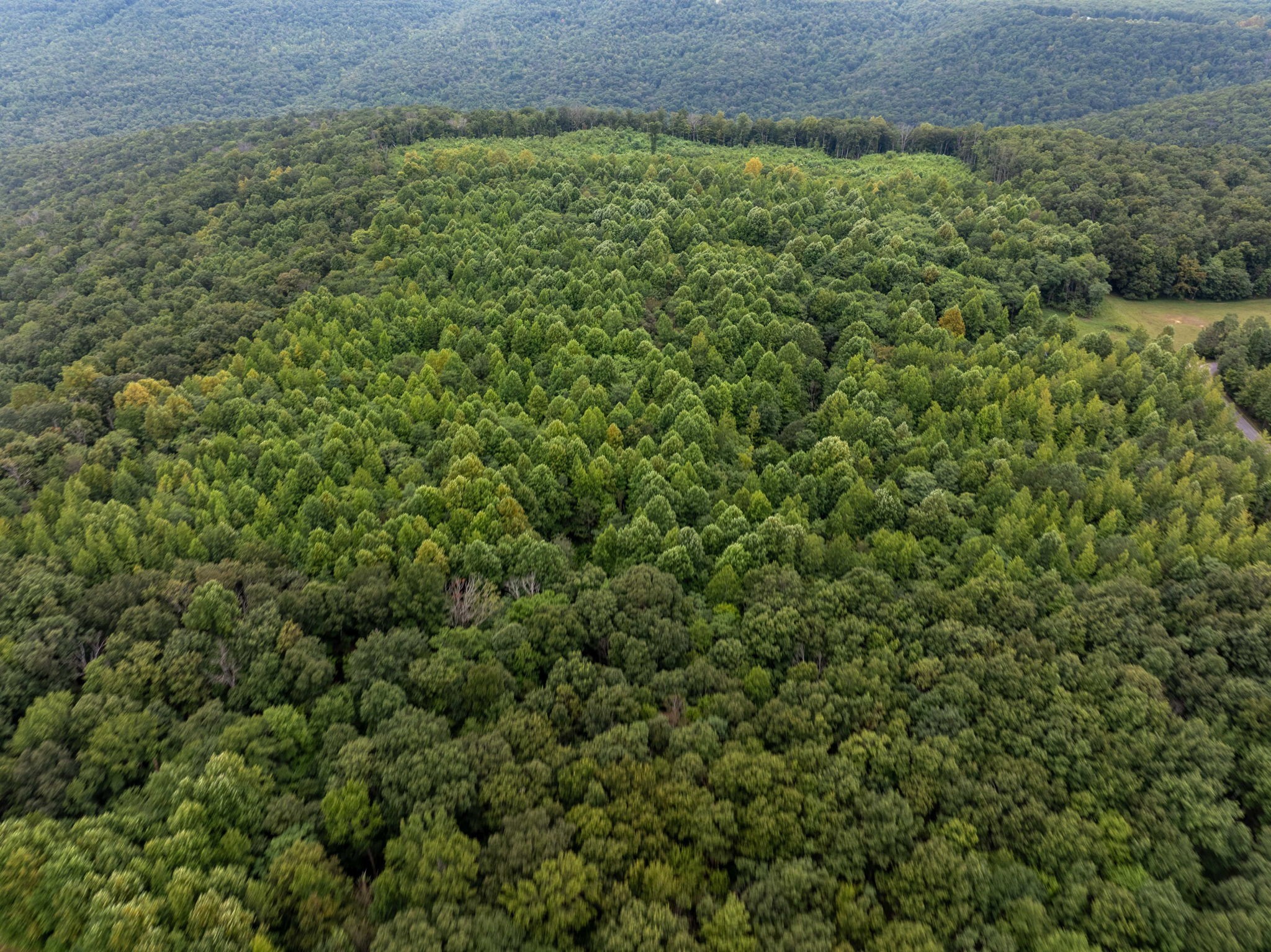 0 Keith Springs Mountain Road Belvidere, TN 37306 - Photo 7 of 14 Gallery Image 7