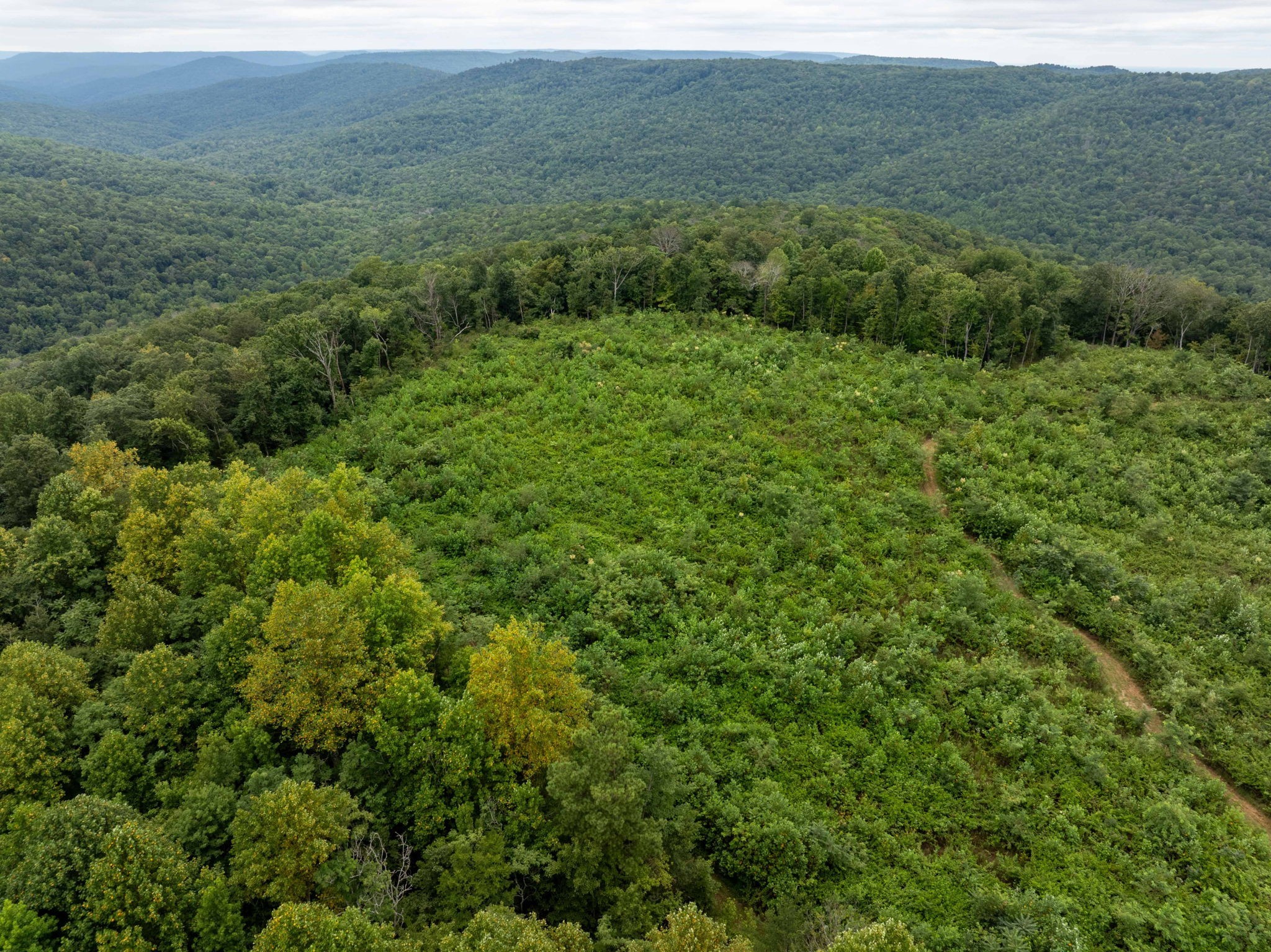 0 Keith Springs Mountain Road Belvidere, TN 37306 - Photo 10 of 14 Gallery Image 10