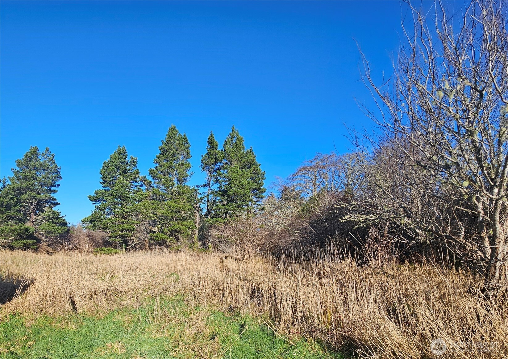 2007 41 Place Long Beach, WA 98631 - Photo 9 of 27