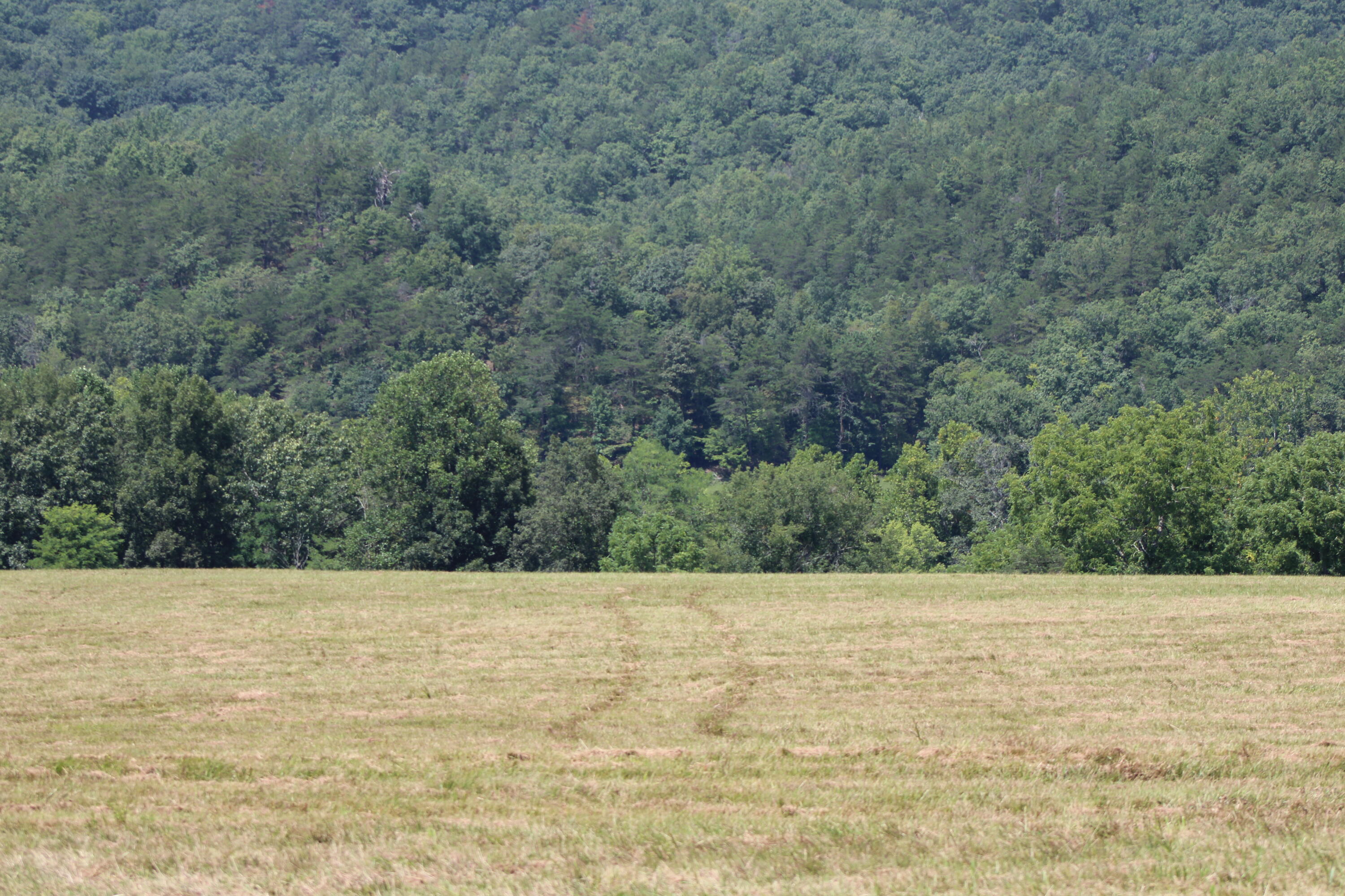 2816 Johns Creek Road New Castle, VA 24127 - Photo 22 of 96 IMG_0121