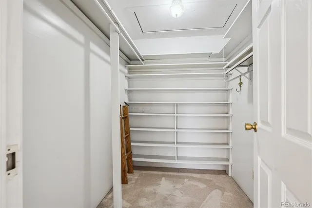 a view of walk in closet with empty racks