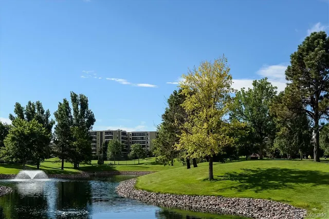 a view of a park with trees and a lake