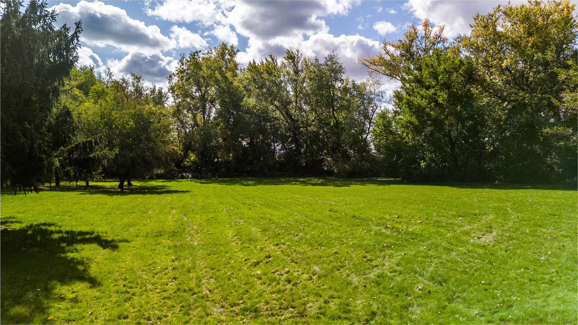 8510 Gurler Road DeKalb, IL 60115 - Photo 45 of 46 a view of yard with green space
