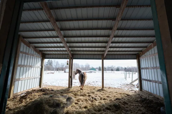 $650,000 | 43950 200th Avenue, McGregor, MN 55760