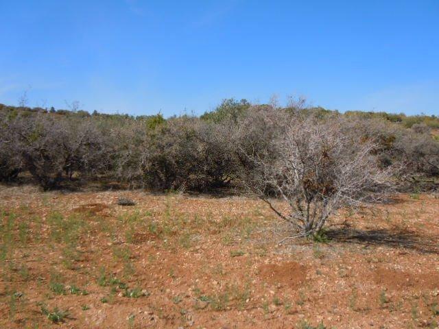 0 Country Canyon Road Tehachapi, CA 93561 - Photo 14 of 16 Gallery Image 14
