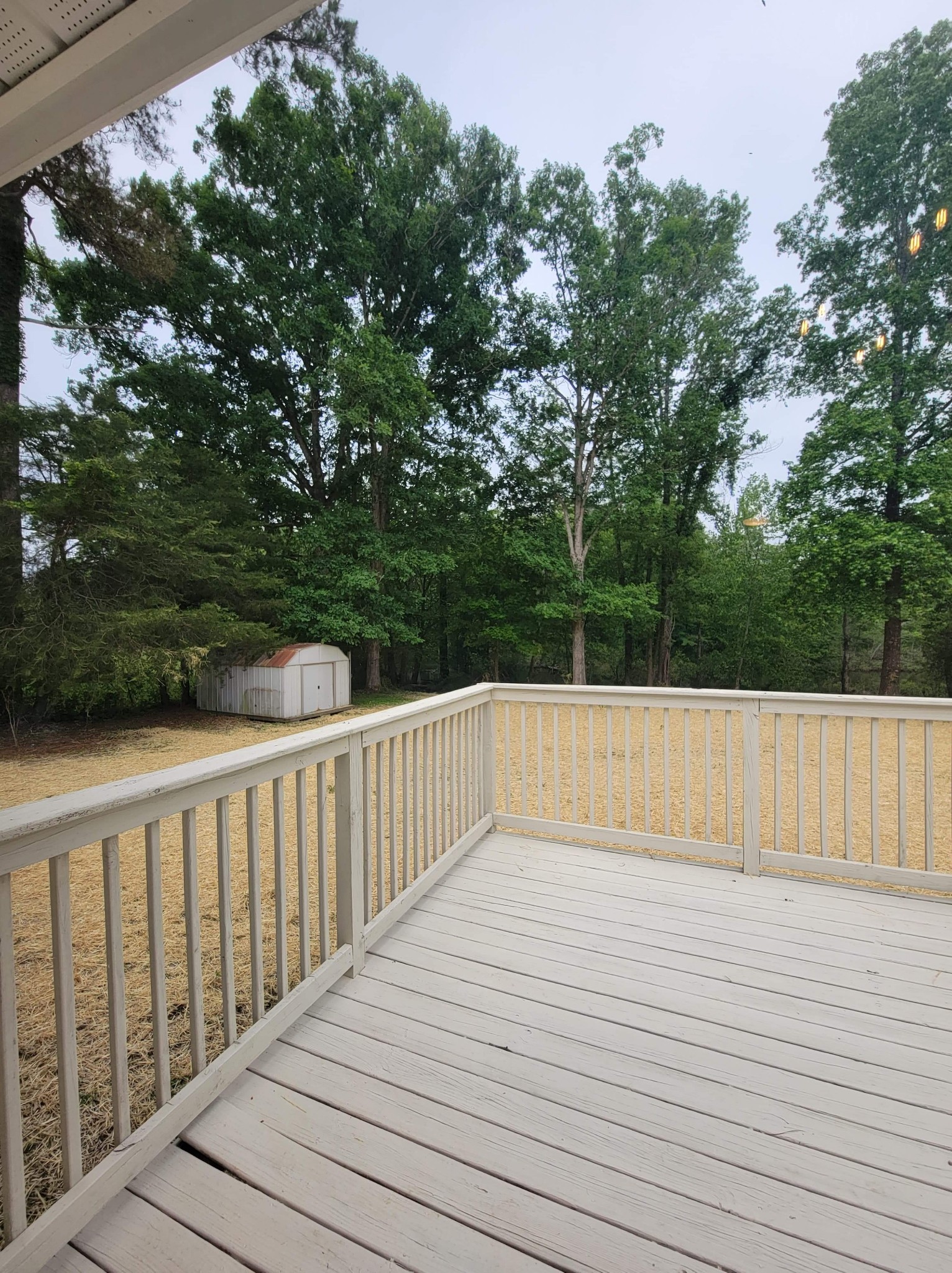 646 Pruett Road Dickson, TN 37055 - Photo 15 of 15 Gallery Image 15