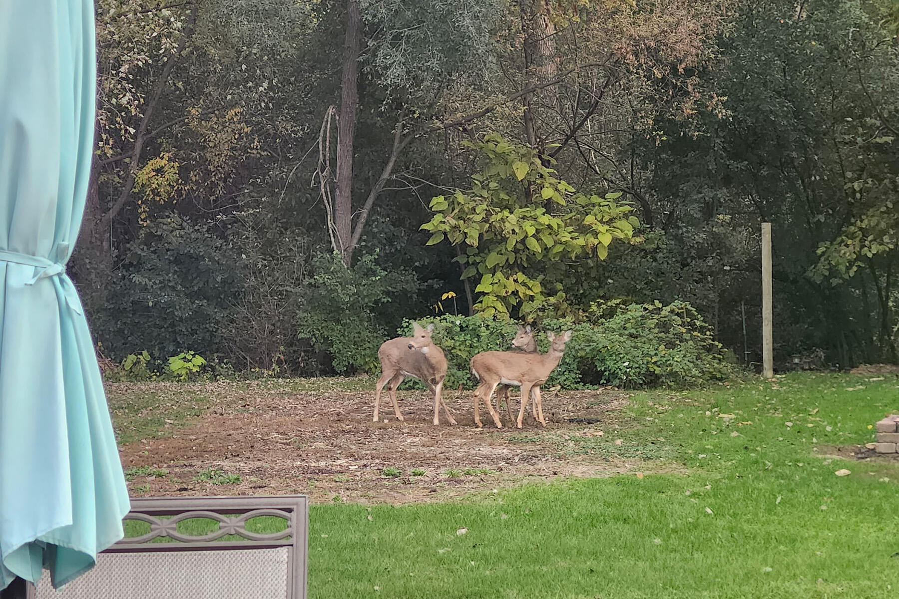 517 Fox Knoll Drive Rochester, WI 53185 - Photo 41 of 42 FoxKnoll_048