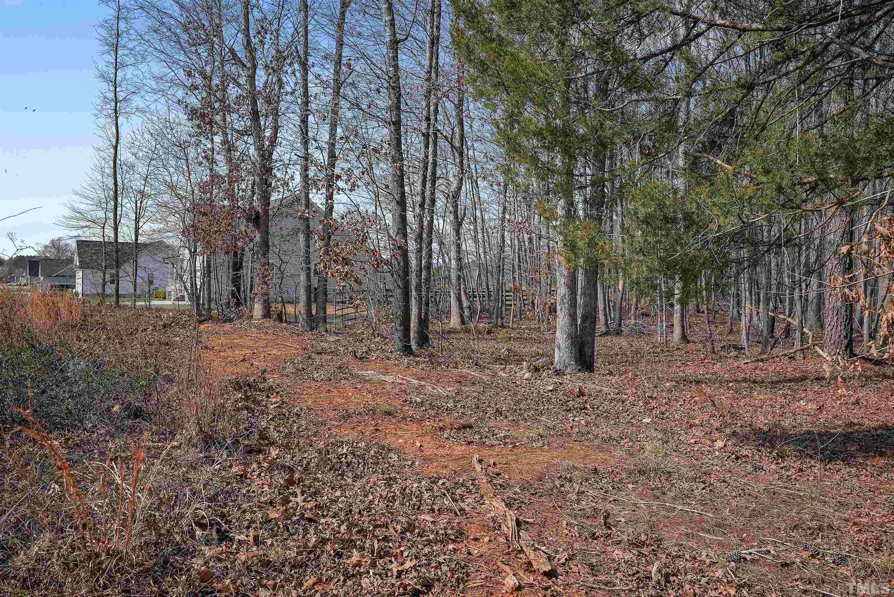 4085 Old 75 Highway Stem, NC 27581 - Photo 36 of 36 a view of a yard with a tree