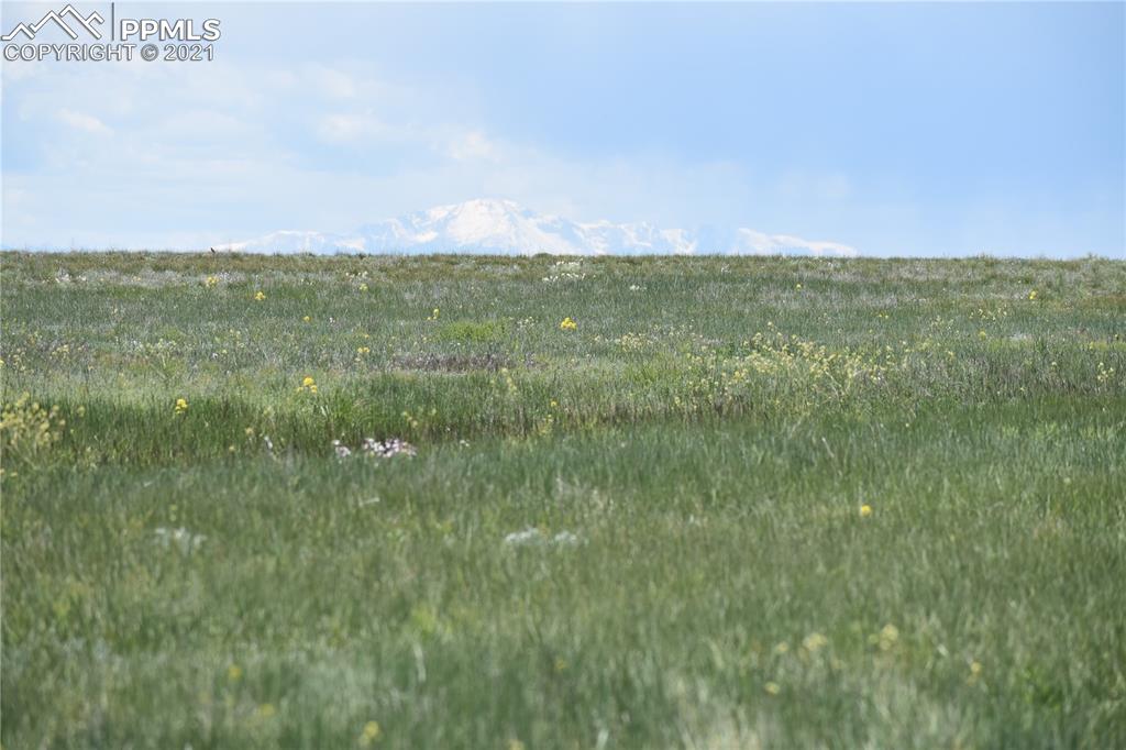 169 County Road Matheson, CO 80830 - Photo 1 of 9