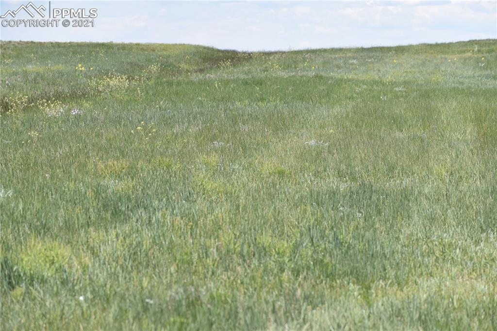 169 County Road Matheson, CO 80830 - Photo 2 of 9