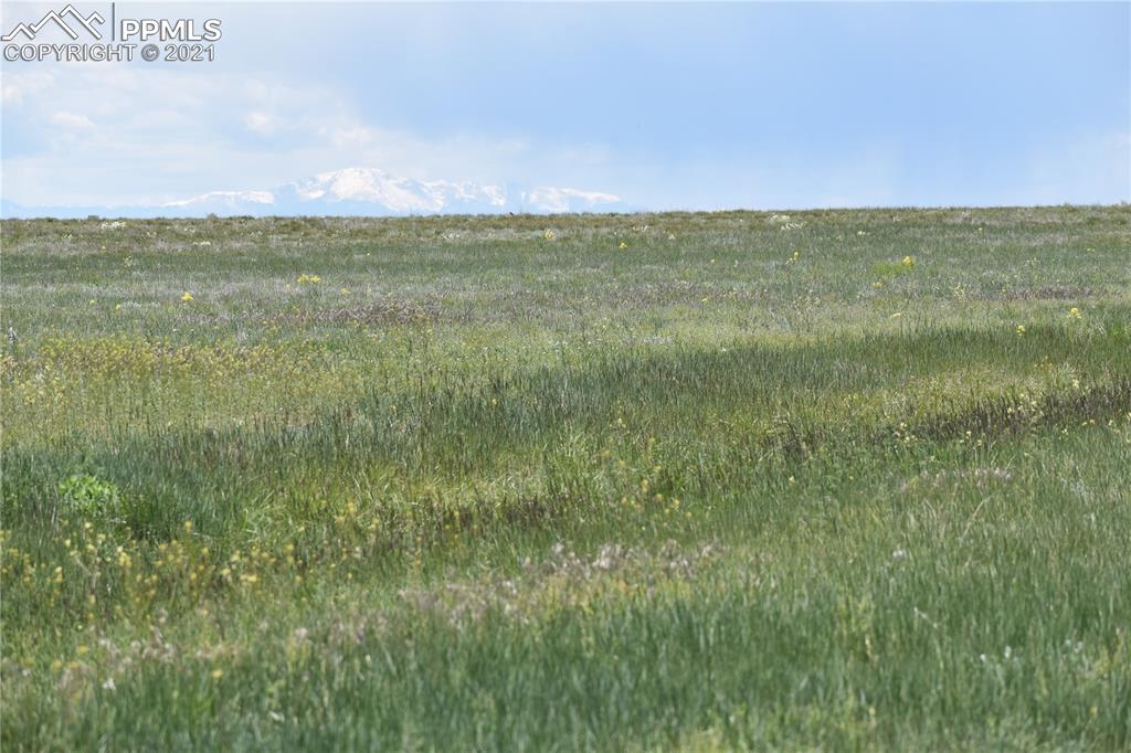 169 County Road Matheson, CO 80830 - Photo 3 of 9