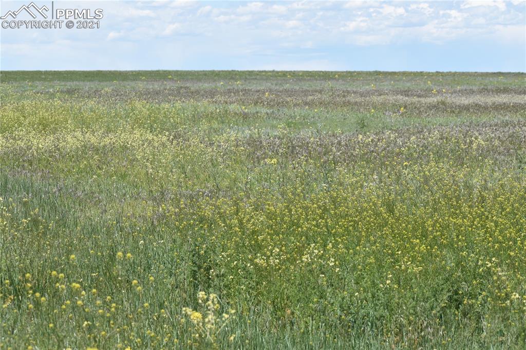 169 County Road Matheson, CO 80830 - Photo 4 of 9