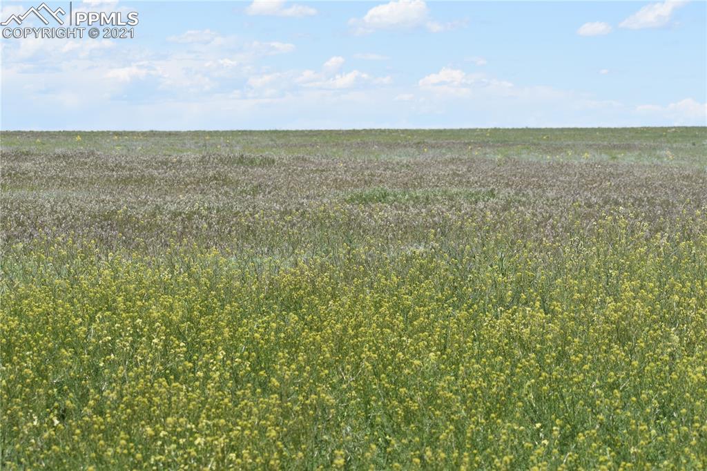 169 County Road Matheson, CO 80830 - Photo 5 of 9