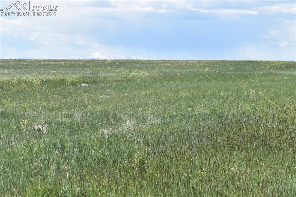 169 County Road Matheson, CO 80830 - Photo 6 of 9