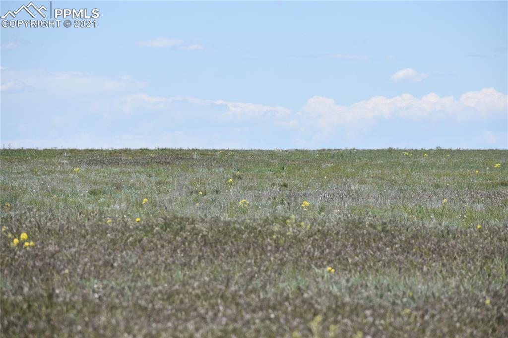 169 County Road Matheson, CO 80830 - Photo 7 of 9