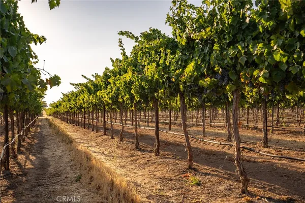 $3,325,000 | 7010 Wilderness Lane, Paso Robles, CA 93446