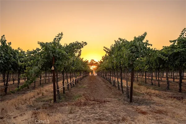 $3,325,000 | 7010 Wilderness Lane, Paso Robles, CA 93446