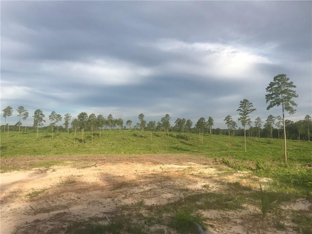 0 Newton Road Dry Prong, LA 71423 - Photo 1 of 1 Gallery Image 1